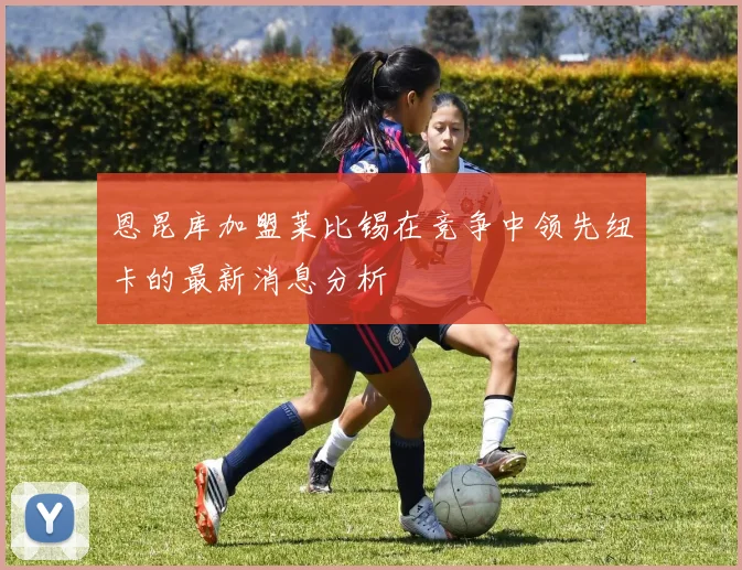 恩昆库加盟莱比锡在竞争中领先纽卡的最新消息分析