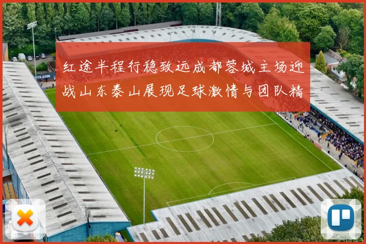 红途半程行稳致远成都蓉城主场迎战山东泰山展现足球激情与团队精神